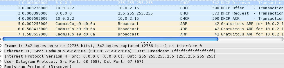 DHCP IP Capture
